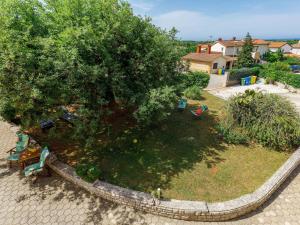 widok na ogród z drzewem w obiekcie Apartment Lili-1 by Interhome w mieście Kukci