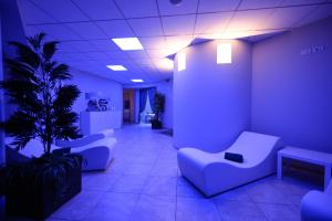 a lobby with couches and a plant in a room at Hotel Lumin in Cremia