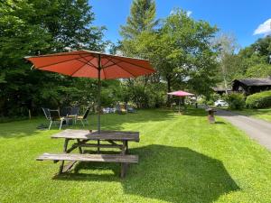 a picnic table with an umbrella on the grass at Holiday Home Reinskopf-3 by Interhome in Schönecken