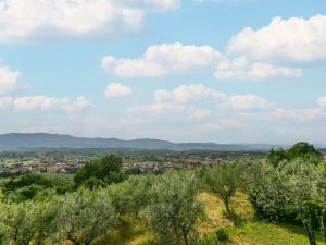 vista sulla città da una collina alberata di Holiday Home Podere Berrettino by Interhome a Reggello