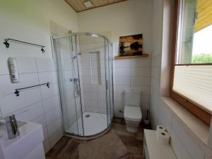 a bathroom with a shower and a toilet and a sink at Siedlisko Upałty in Giżycko +16 photos