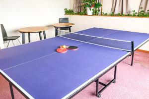 Stolní tenis v ubytování HOTEL&RESORT Izu no Ne nebo okolí