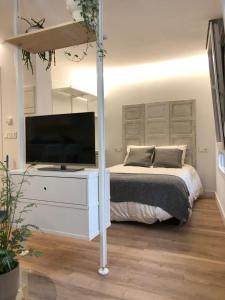 1 dormitorio con 1 cama y TV de pantalla plana en Apartamentos CANDEA en Lugo