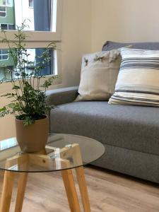 sala de estar con sofá y mesa con maceta en Apartamentos CANDEA, en Lugo