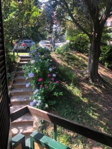 A garden outside Villa Dei Cedri