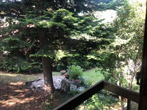 A garden outside Villa Dei Cedri