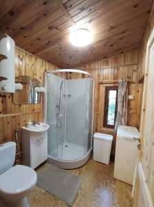 a bathroom with a shower and a toilet and a sink at Przylesie Trzebciny in Trzebciny