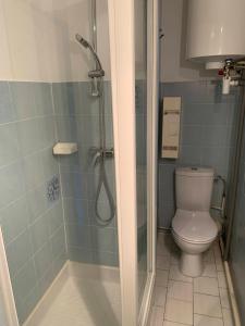 y baño con ducha y aseo. en Les Goêlands 3 - RDC Appt 1- Port plage rive ouest, en Frontignan