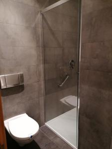 a bathroom with a shower with a toilet and a sink at Hotel Marítimo Ris con garaje in Noja