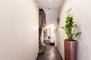 a hallway with a potted plant and a stairway at Hotel l'Hotera in Cannes