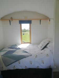 Bett in einem Zimmer mit Fenster in der Unterkunft Sunny Mount Shepherd's Hut in Long Marton
