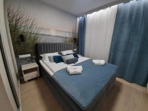 sypialnia z łóżkiem i dwiema poduszkami w obiekcie Apartamenty Marzeń w Grzybowie