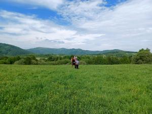 Príroda v okolí apartmánu