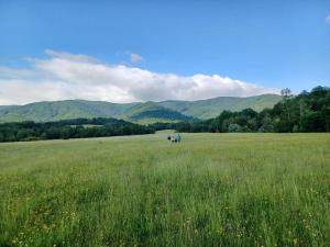 Príroda v okolí apartmánu