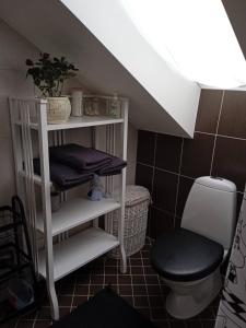 een badkamer met een toilet en een plank met handdoeken bij Hygge home w terrace in Tartu
