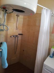 une salle de bain avec une douche avec un rideau de douche dans l'établissement Old istrian house,free parking, à Galižana 31 autres photos