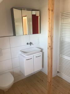 uma casa de banho com um lavatório, um WC e um espelho. em Villa Am Honigbach em Coesfeld
