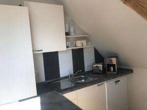 una pequeña cocina con fregadero y microondas en Villa Am Honigbach, en Coesfeld