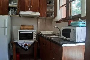 eine kleine Küche mit Mikrowelle und Spüle in der Unterkunft Sophie's traditional hospitality appartment in Monemvasia