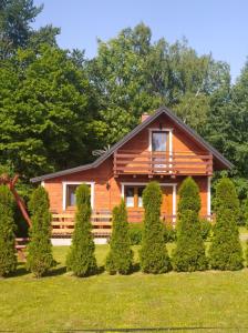 a log cabin with a row of trees and bushes at Domki wypoczynkowe - całoroczne. in Wysowa-Zdrój