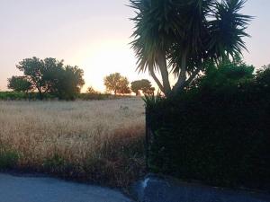 にあるSilver Cityのギャラリーの写真