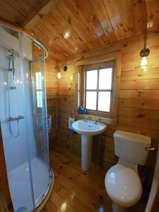 a bathroom with a toilet and a sink and a shower at Seillean Trang in Saasaig