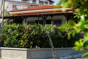 Zahrada ubytování Villa LINDEN Kallikratia