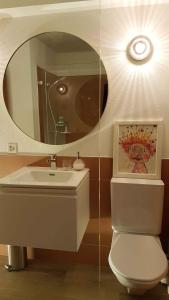 a bathroom with a sink and a toilet and a mirror at Appartamento incantevole: CASA SAN PIERU in Poschiavo