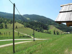 un camino sinuoso en las montañas con campos verdes en Apartment Enzian by Interhome, en Arriach