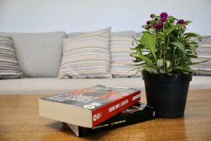 a book on a table next to a potted plant at Casa del Tempo Rosa Tassullo OSPITAR in Tassullo