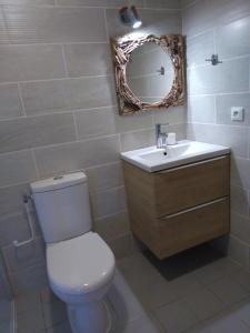 ein Badezimmer mit einem WC, einem Waschbecken und einem Spiegel in der Unterkunft Les Saisies côté Bisanne appartement dans chalet LE Népal in Les Saisies