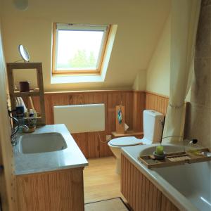 uma casa de banho com um lavatório, um WC e uma janela. em Le cottage du séquoia em Chamberet
