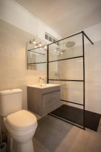 La salle de bains est pourvue de toilettes, d'un lavabo et d'une douche. dans l'établissement Place de la Cathédrale de Pointe à Pitre, à Pointe-à-Pitre