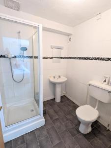 a bathroom with a shower and a toilet and a sink at Cottage Court Hotel in Tenby
