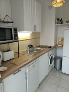 uma cozinha com um lavatório e um micro-ondas em Sainte Rosalie em Cannes