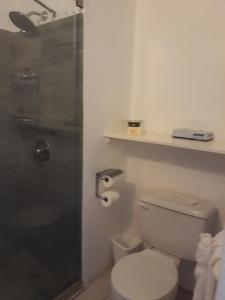 a bathroom with a toilet and a glass shower at Tropical Sunset Beach Apartment Hotel in Saint James
