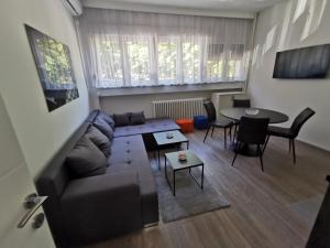 a living room with a couch and a table at Apartman PAVLOVIC 1 in Dedinje