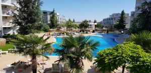 une grande piscine avec des palmiers et des bâtiments dans l'établissement Apartment with green terrace, à Bourgas