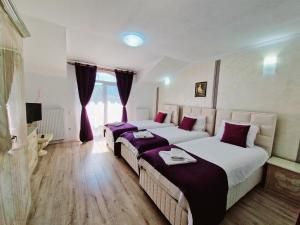 een hotelkamer met 2 bedden en een televisie bij Pension Terra in Alba Iulia