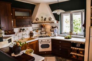 a kitchen with a sink and a stove top oven at apartman Iva in Krasica