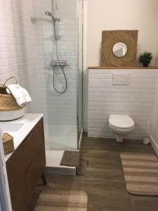 uma casa de banho com um chuveiro, um WC e um lavatório. em APPART-STUDIOS VUE MER PANORAMIQUE ST GUENOLE Côté Mer em Penmarcʼh
