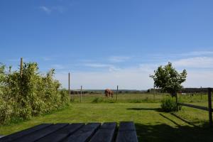 Afbeelding uit fotogalerij van Le Clos de l'Angley Gîtes et Écurie in Caffiers