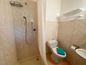 a bathroom with a shower and a toilet and a sink at Holiday Home Casa ai Terreni dei Nonni by Interhome in Losone