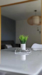 Fotografia z galérie ubytovania Appartement A neuf style scandinave v destinácii Valliquerville