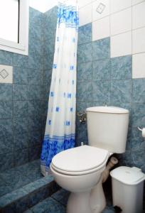 a bathroom with a toilet and a shower curtain at Karyatides Homes in Kariá