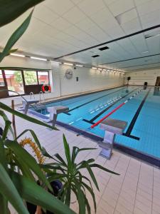 - une grande piscine dans un grand bâtiment dans l'établissement Green Door Hotel, à Söderåkra