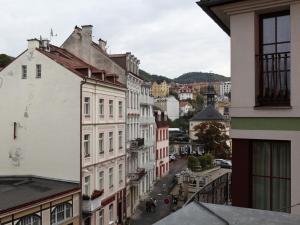 Gallery image of 7k-Zamecky Vrch 2 in Karlovy Vary