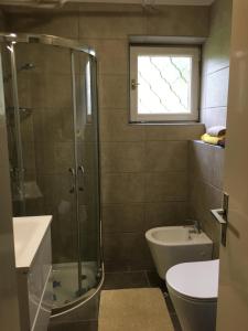 a bathroom with a shower and a toilet and a sink at Apartma Dobrna in Dobrna