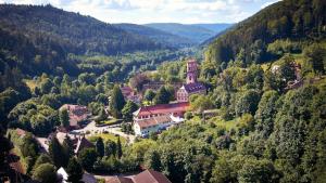 einen Luftblick auf ein kleines Dorf in den Bergen in der Unterkunft Hotel Landgasthof König von Preussen in Marxzell