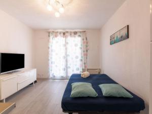 Televízia a/alebo spoločenská miestnosť v ubytovaní Apartment Le Front de Mer-4 by Interhome